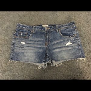 NWOT Medium wash denim shorts